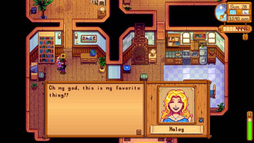 A screenshot of Stardew Valley townsperson Haley