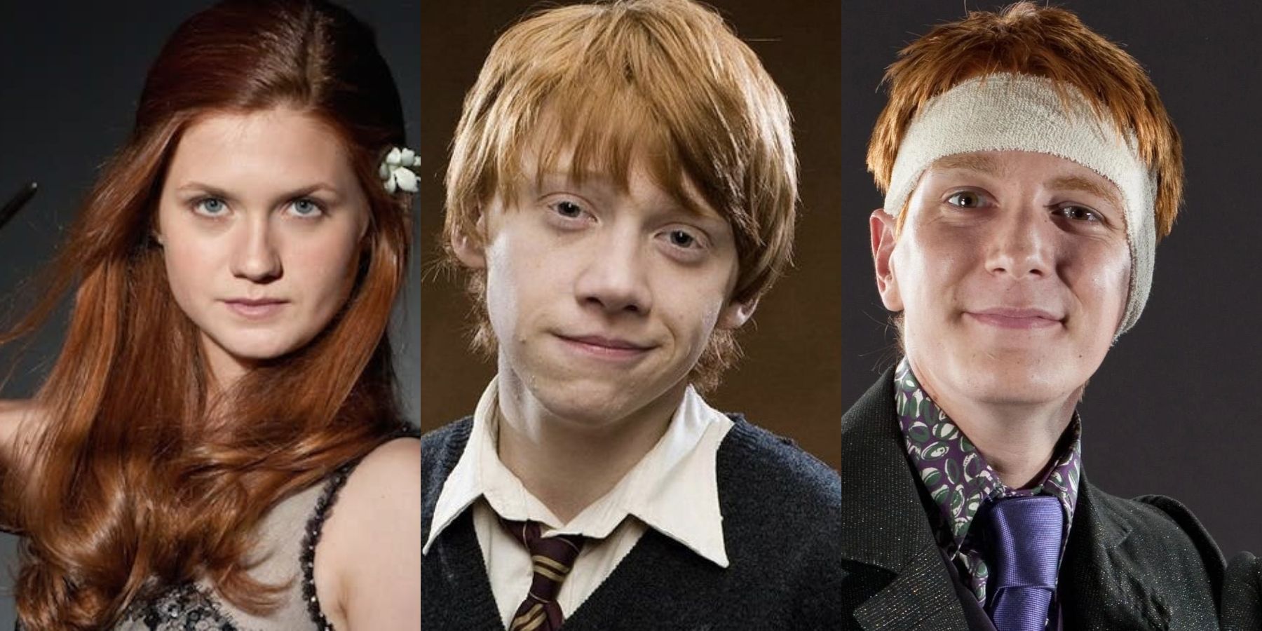 Harry Potter: What Happened To The Weasleys After The War?