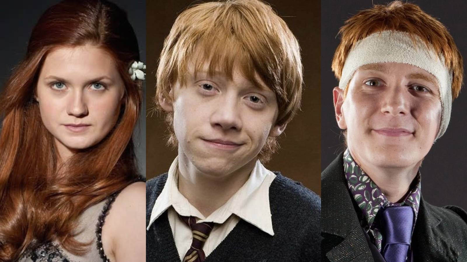 harry potter ron weasley ginny weasley george weasley