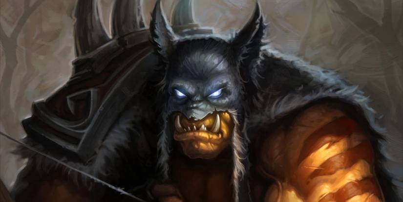 Hearthstone Hunter Class