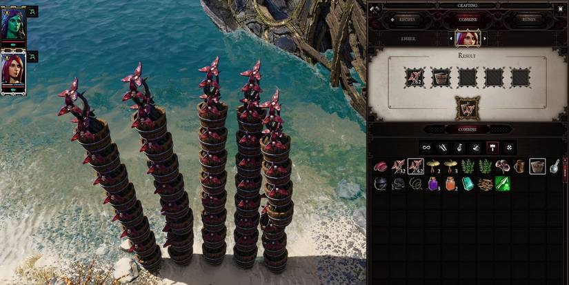 Herb Gardens in Divinity Original Sin 2