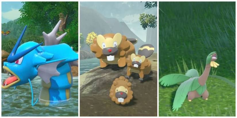 Gyarados, Bidoof, Bibarel, and Tropius