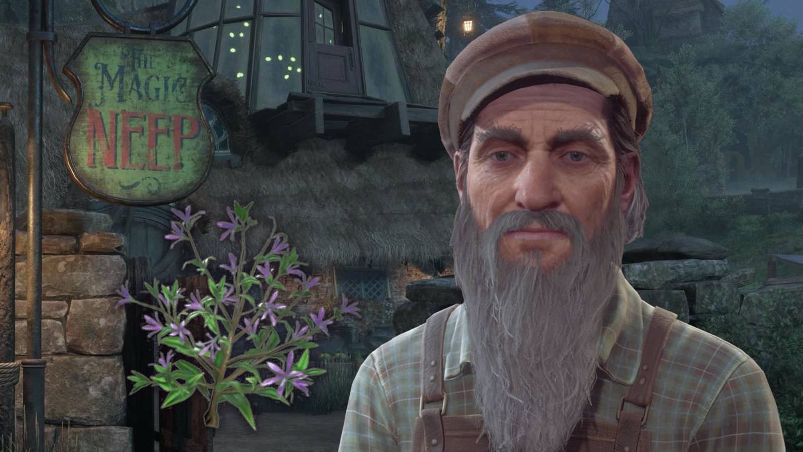 hogwarts-legacy-how-to-get-fluxweed-stem