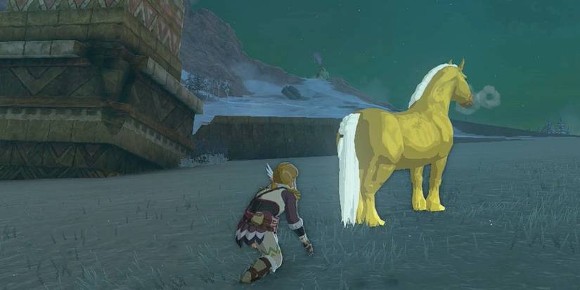 Link Approaching Zelda's Golden Horse Tears Of The Kingdom