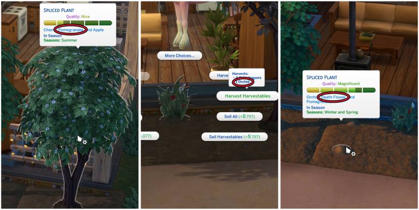 how to get death flower in the sims 4