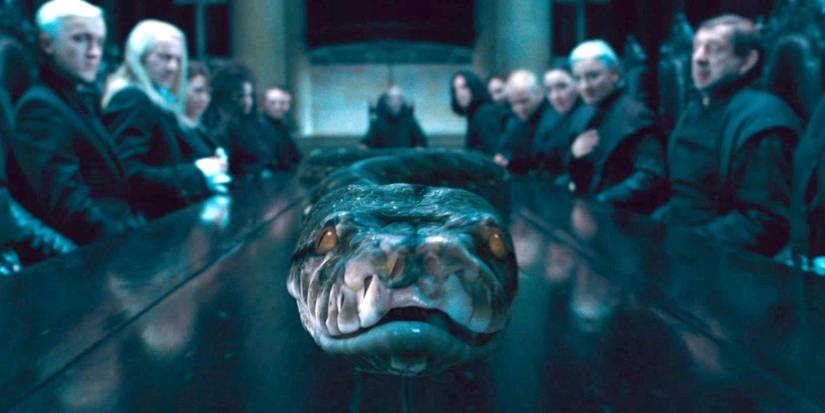 hp-voldemort-nagini-table