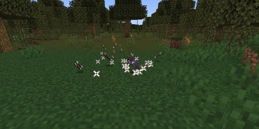 several arrows and bow on ground