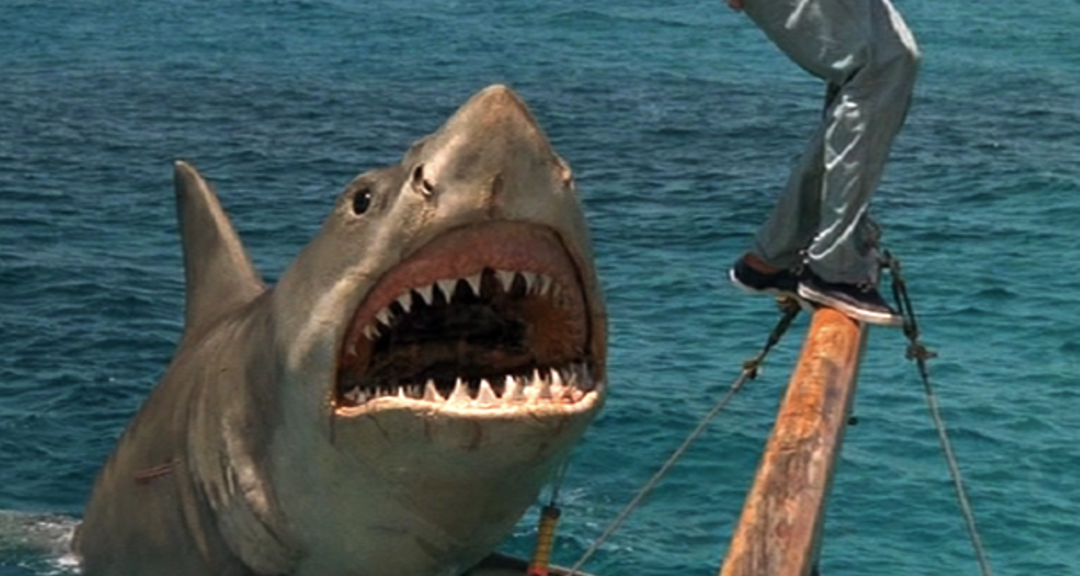 jaws-4-revenge Cropped
