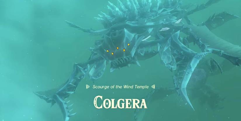 Colgera Background Zelda: Tears of the Kingdom - Every Boss, Ranked