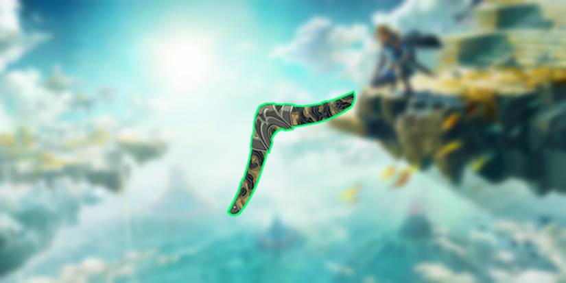 loz totk decayed boomerang