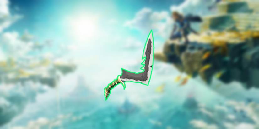 loz totk lizal boomerang