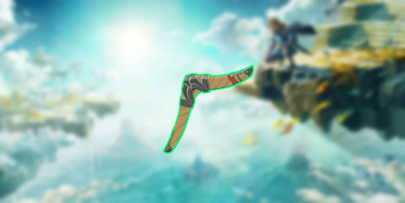 loz totk pristine boomerang