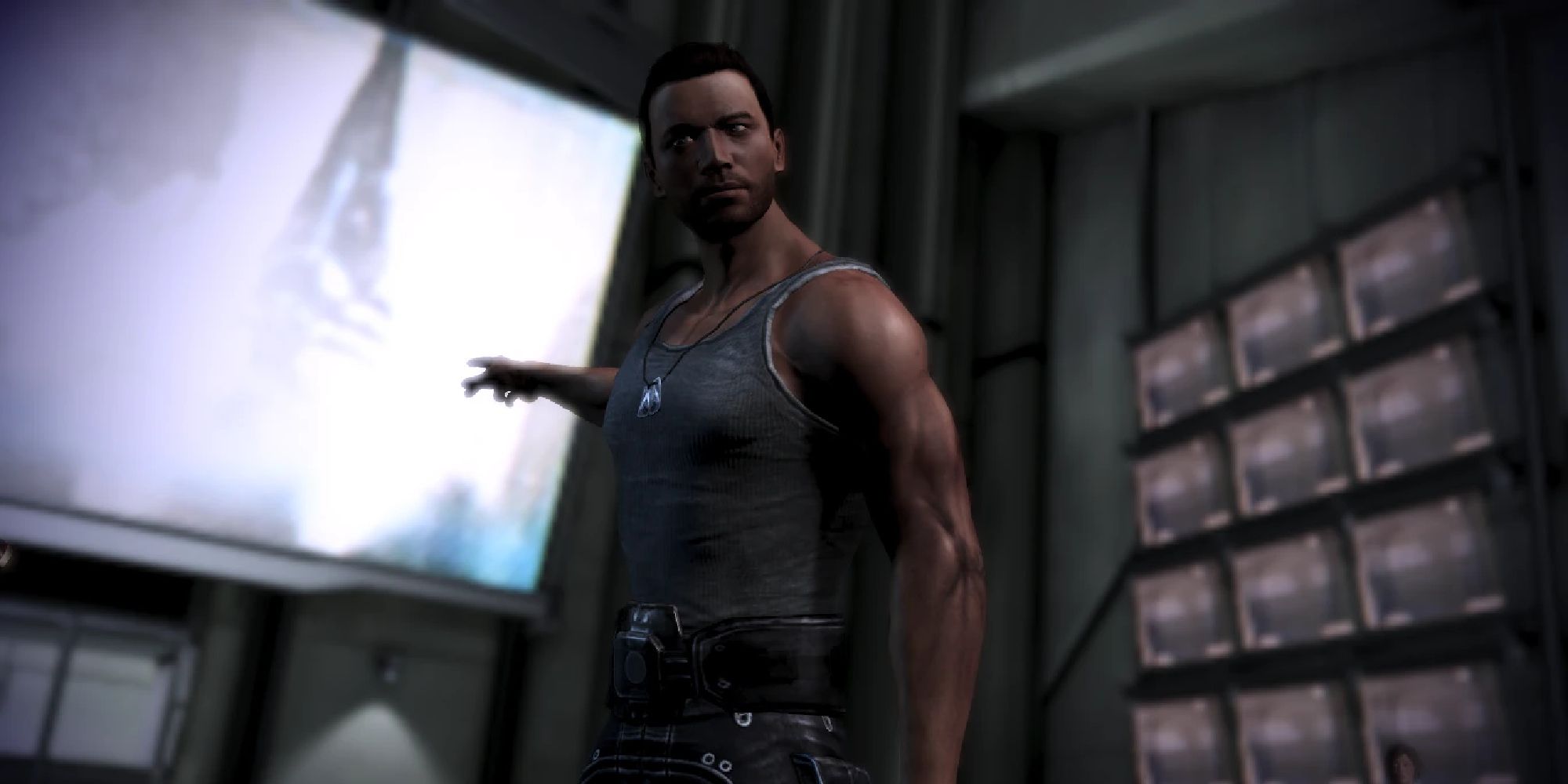A Male Shepard wearing the tank top, pointing out of the window.