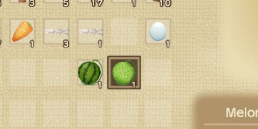 A Watermelon and  melon next to each other in Story of Seasons: A Wonderful Life