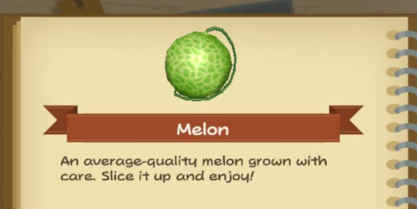 A Melon in Story of Seasons: A Wonderful Life