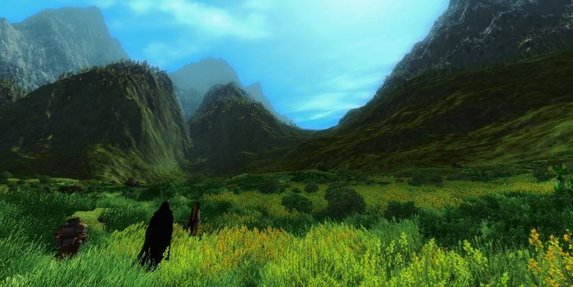 Middle-Earth Roleplaying Project or MERP, a mod for Oblivion