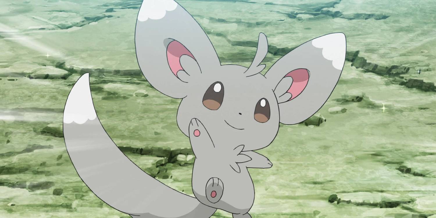 minccino.jpg (1500×750)