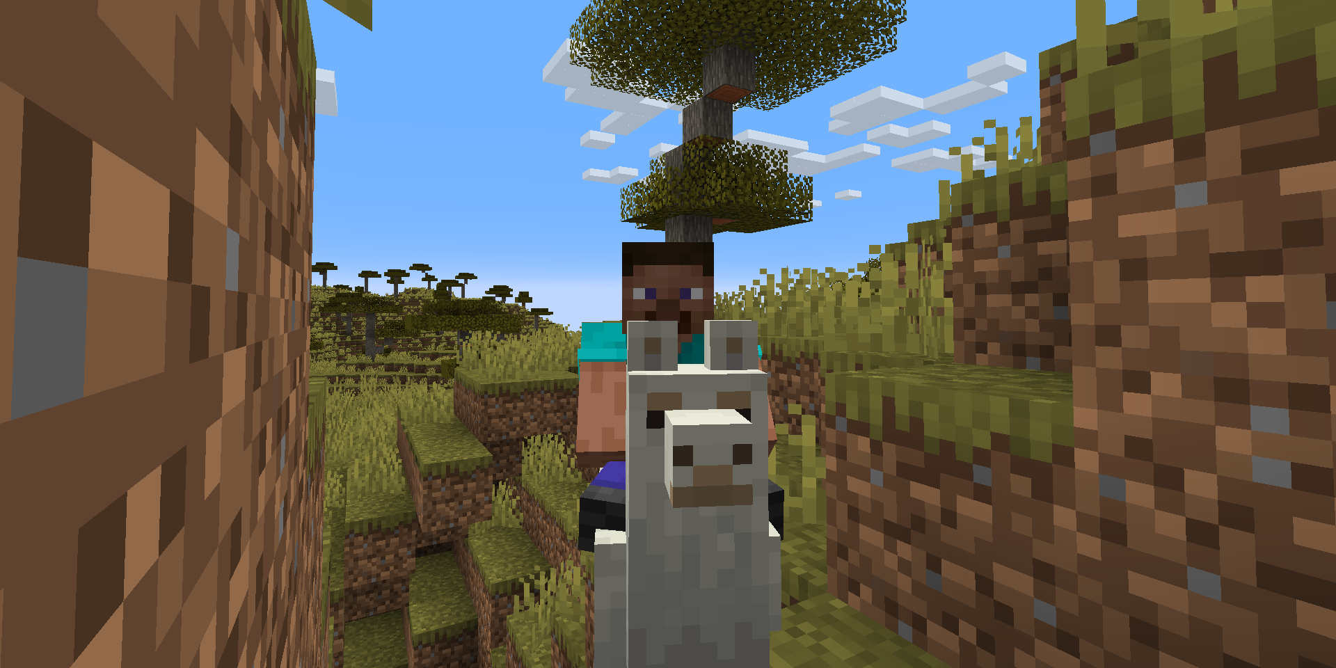 Steve riding a llama in a Savanna in Minecraft