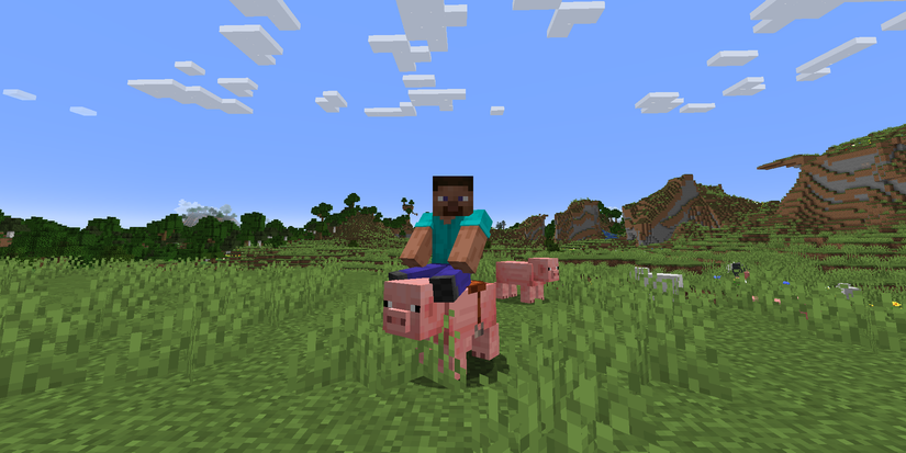 Steve riding a pig in a plains in Minecraft