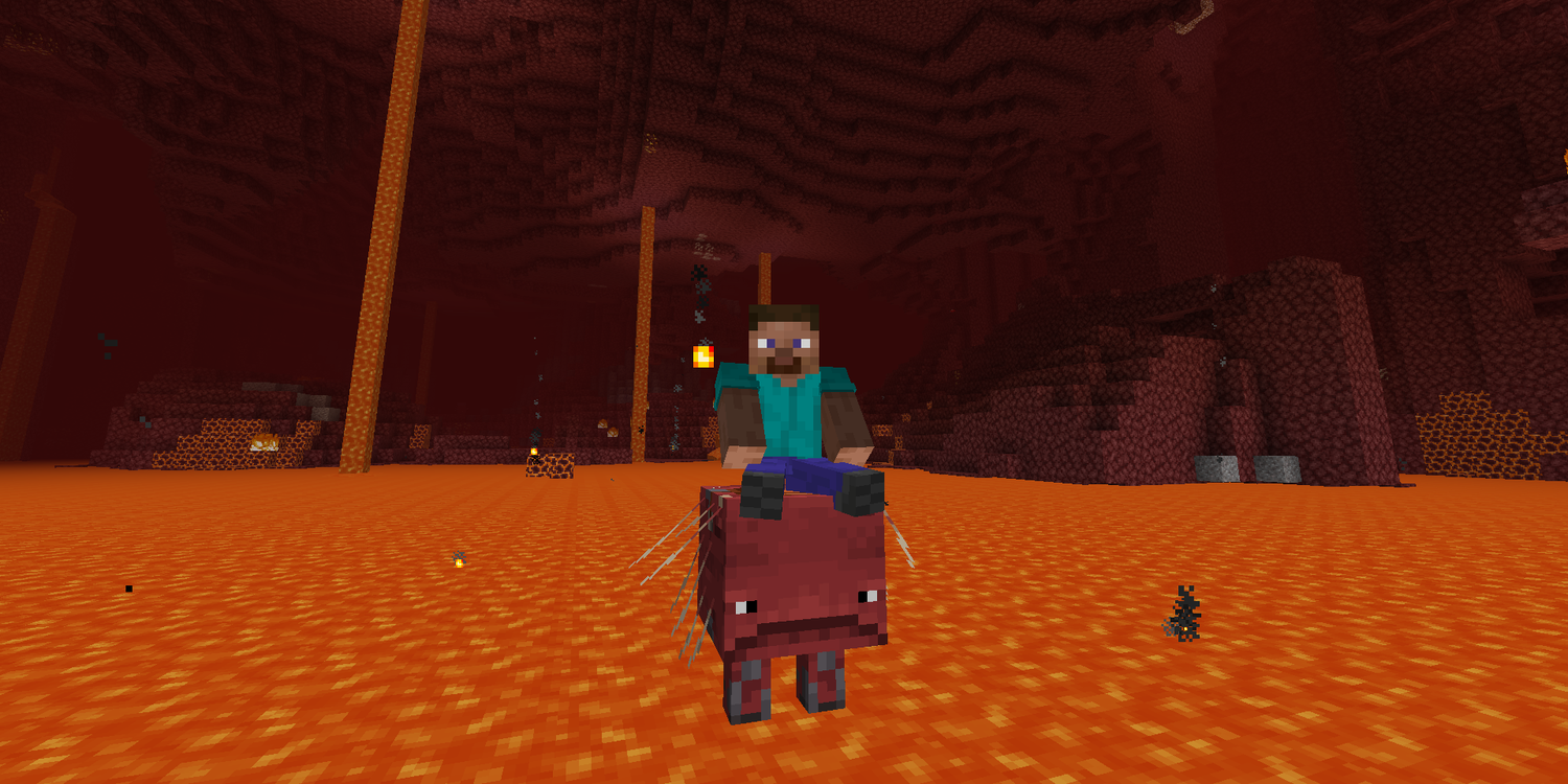minecraft_steveridingstrider.jpg (1500×750)