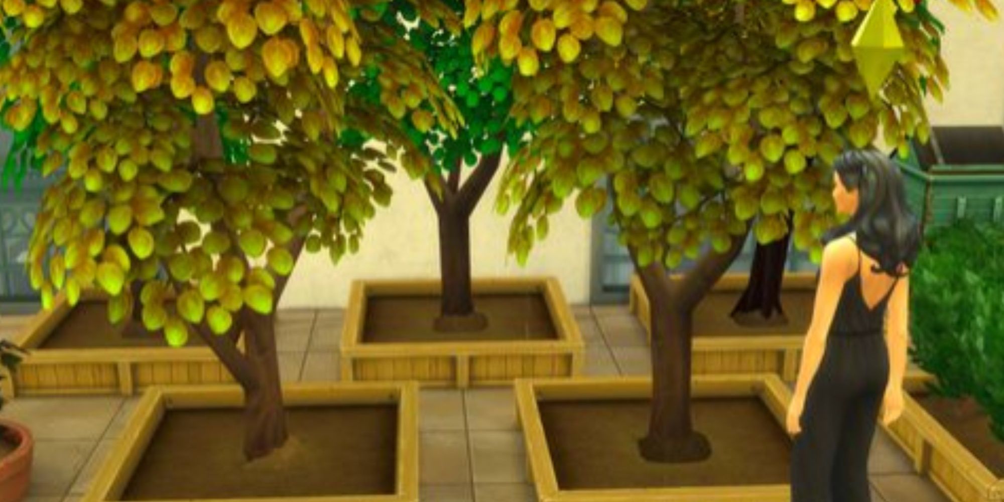 Money trees in The Sims 4