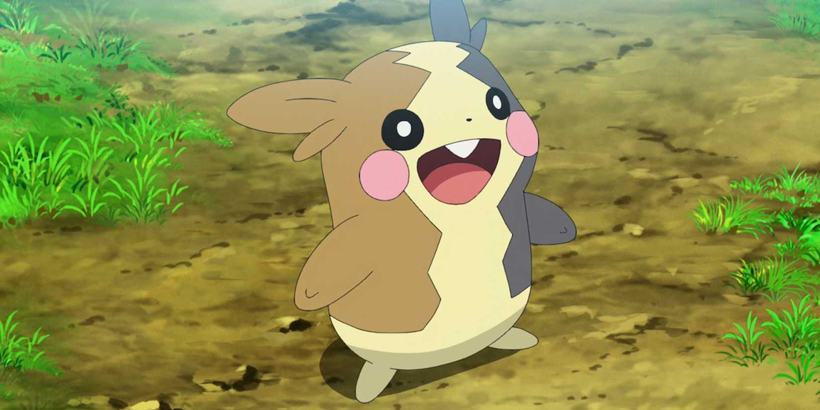 Morpeko no anime de Pokémon