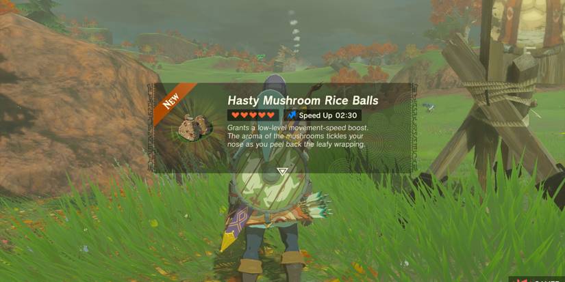 Hasty Mushroom Rice Balls being given to Link