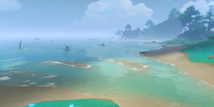 Mysterious Conch Location Genshin Impact