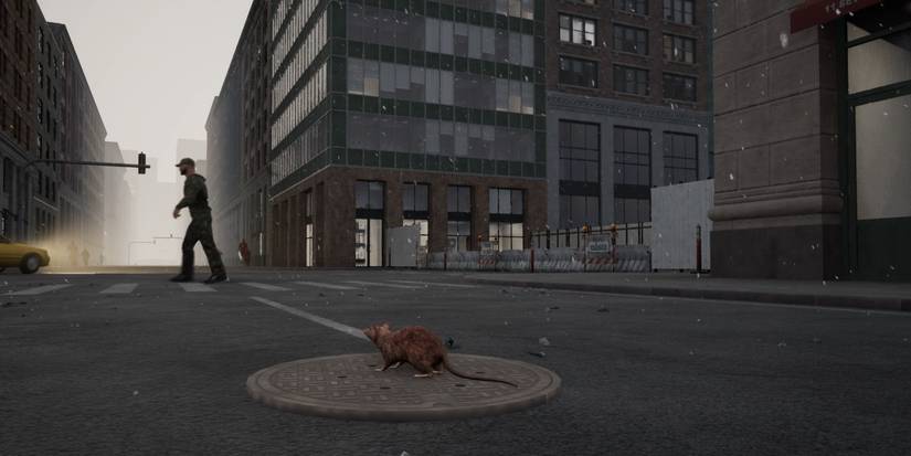 New York Rat Simulator Rat On Street