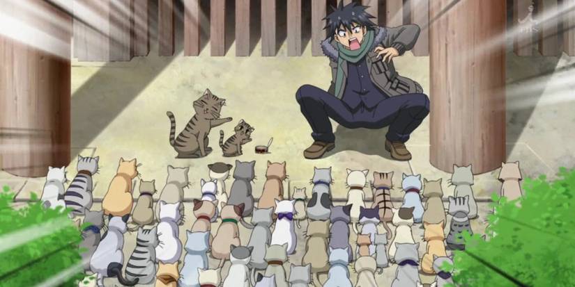 Junpei Kosaka Nyan Koi