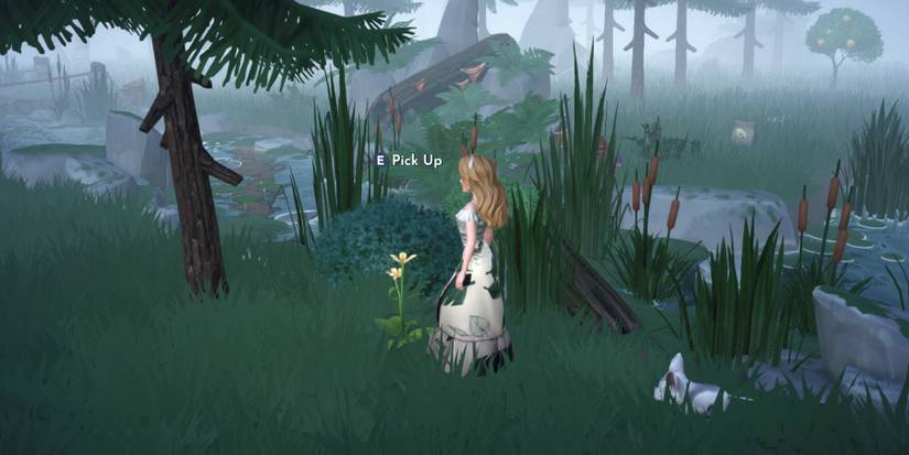 orange star lily in disney dreamlight valley