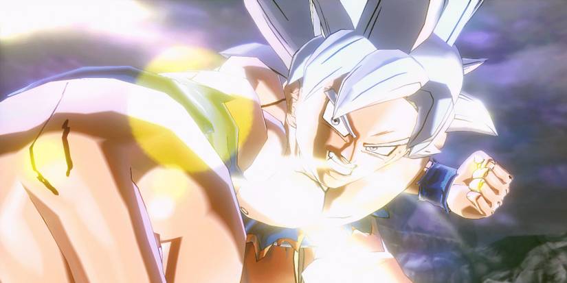 Perfected Ultra Instinct Combat