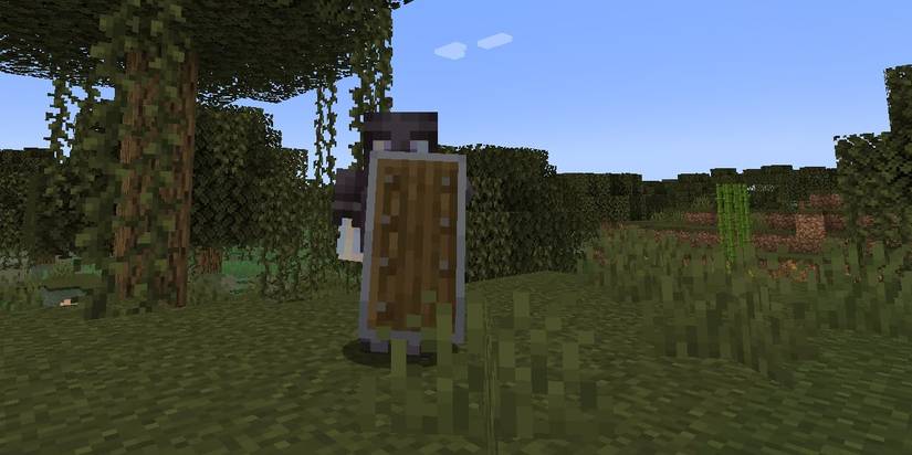 Player holding shield