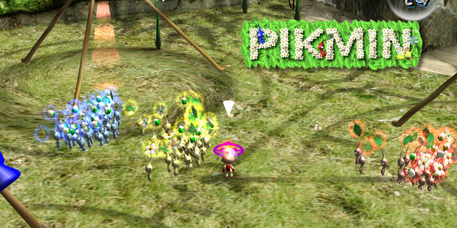 Pikmin 1 How to Switch Between Pikmin 2