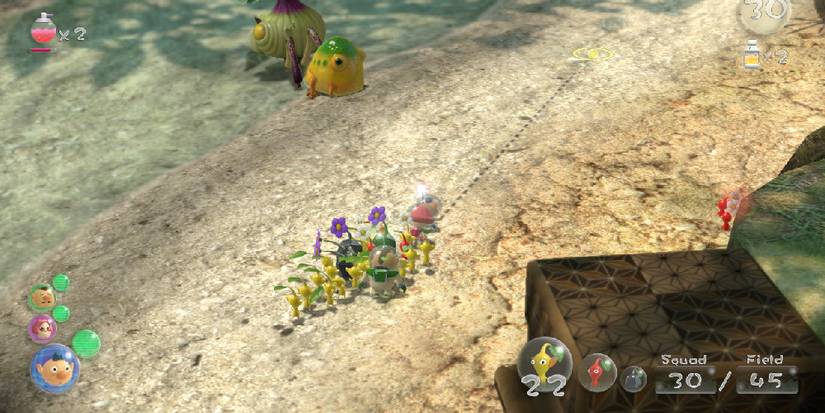 Koppaites Brittany and Charlie leading Pikmin on the beach.
