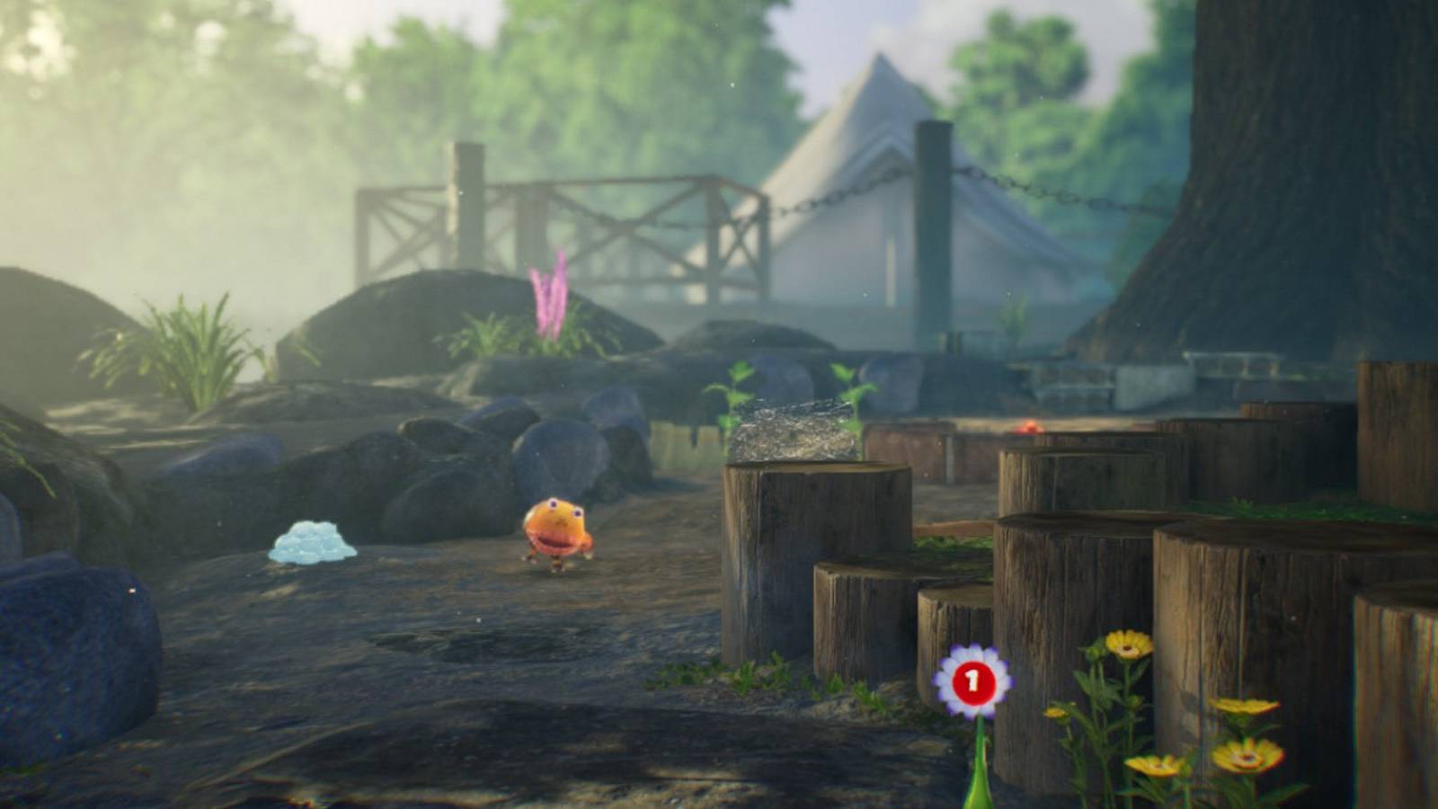 Pikmin 4 How Many Areas are There