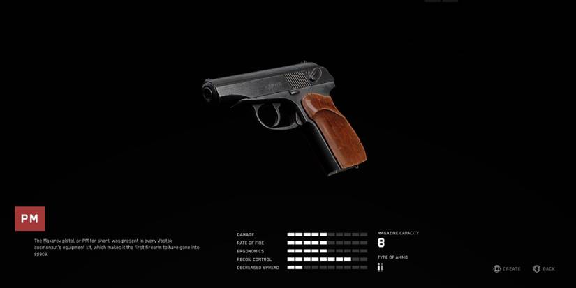 The PM pistol in Atomic Heart