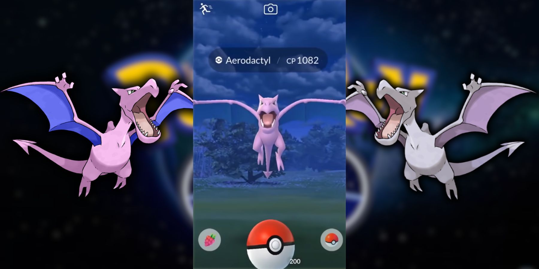 Shiny Shadow Aerodactyl : r/pokemongo