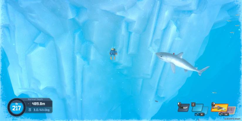 The Porbeagle Shark as shown in Dave the Diver