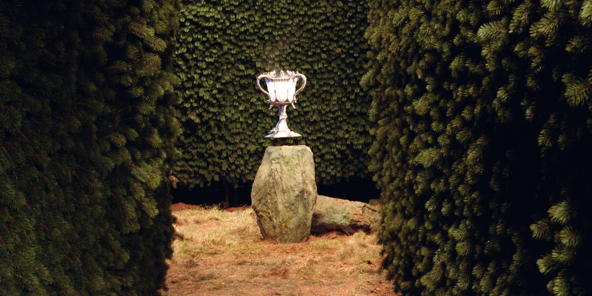 Triwizard Cup in maze Harry Potter