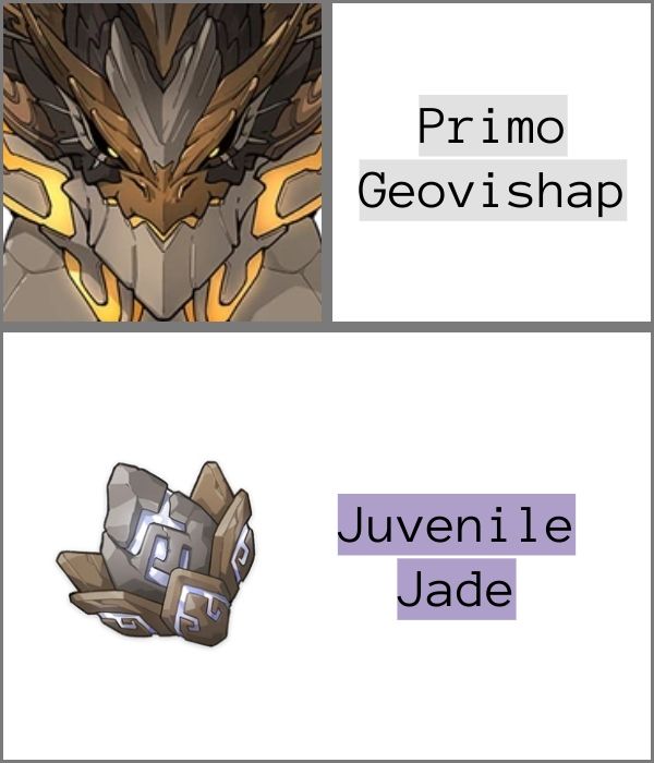 Primo Geovishap Juvenile Jade