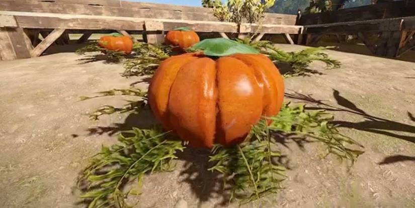 Pumpkins in Rust
