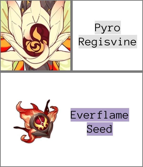 Pyro Regisvine Everflame Seed