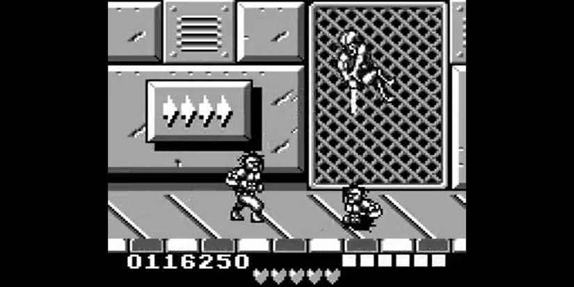 rarest-game-boy-games-battletoads-and-double-dragon