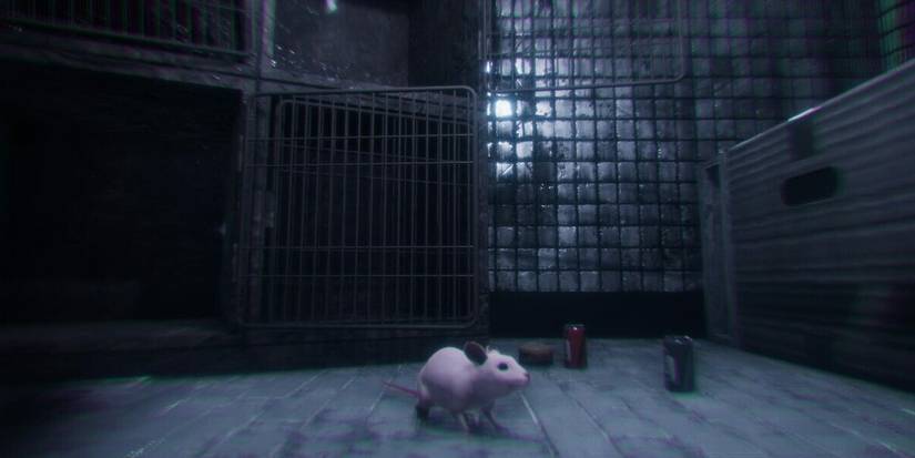 Rat Cage Featuring Rat 