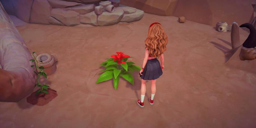 red bromeliad location in disney dreamlight valley