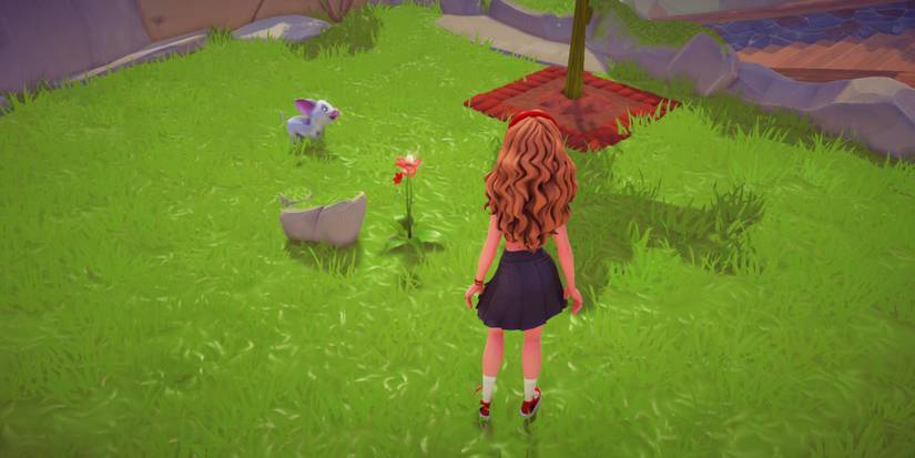 red daisy location in disney dreamlight valley