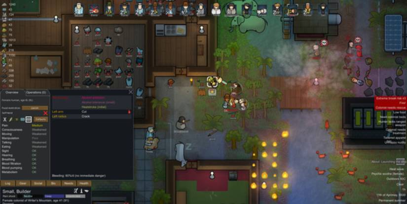 RimWorld gameplay
