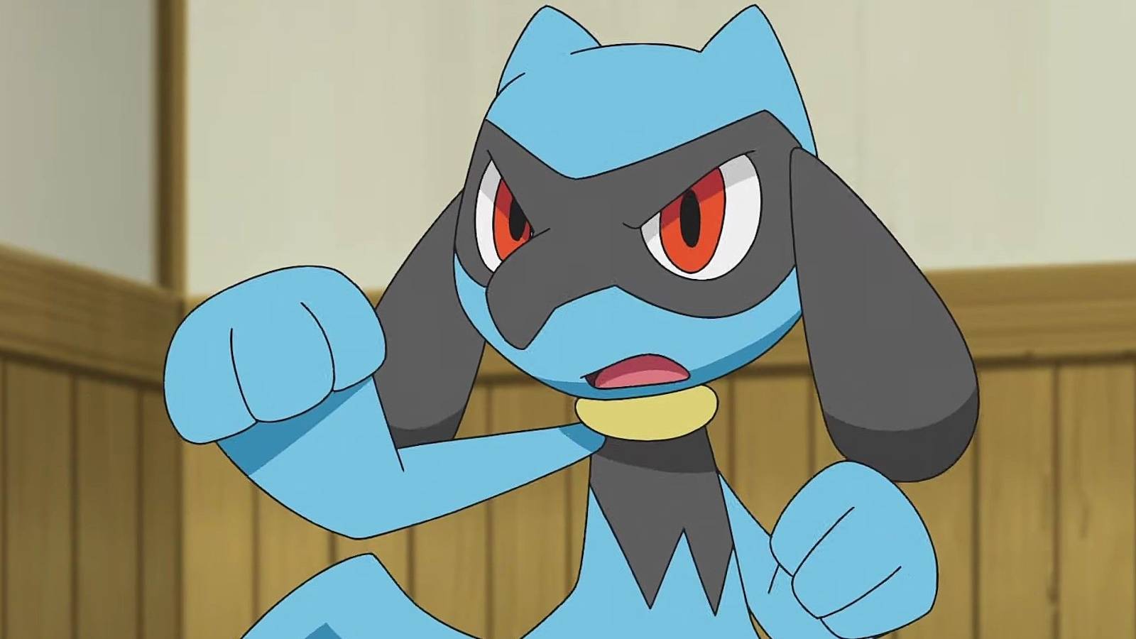 Riolu from the Pokemon anime