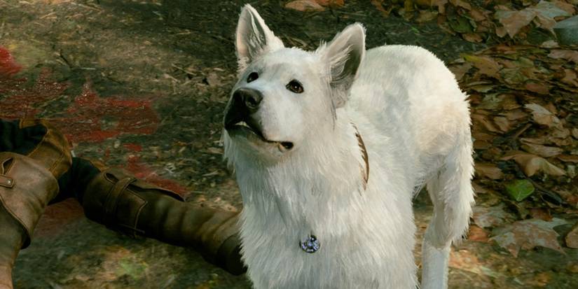 scratch by gomwick's body bg3